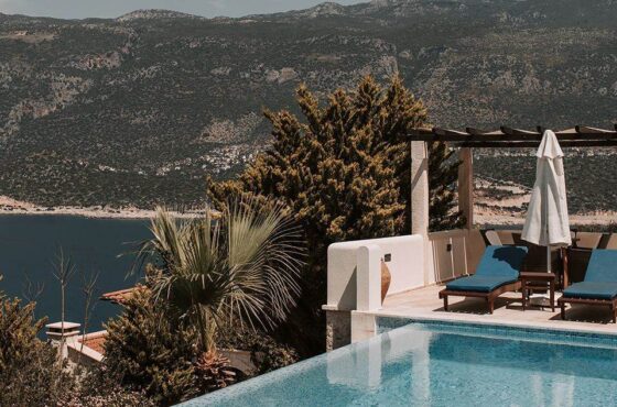 Luxury art house